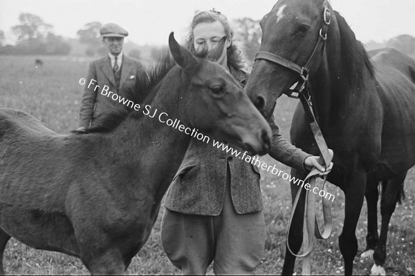 HEADFORD HOUSE  MISS ELIZABETH CLARKE WITH THOROUGHBRED MARES AND FOALS